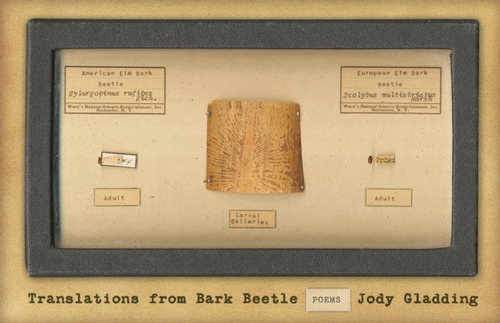 Libro Translations From Bark Beetle: Poems - Gladding, Jody