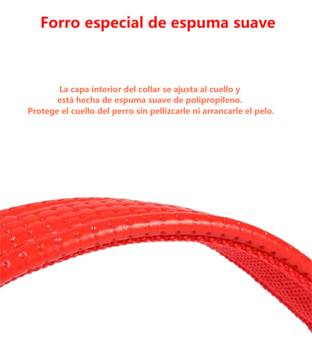 Collar Para Correas Perros Con Hebilla Metálica Ajustable M Azul
