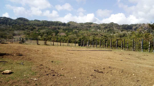 Imagen 18 de 30 de Finca En Mirimire Estado Falcon De 941 Hectáreas