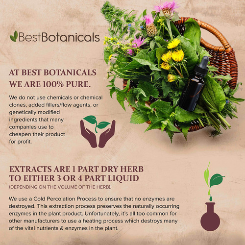 Hierba Cardo Bendito Orgánico Best Botanicals, Cortada 454 G