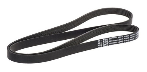 Banda Motriz Original Mopar Jeep Wrangler L6 4.0 2000-2006
