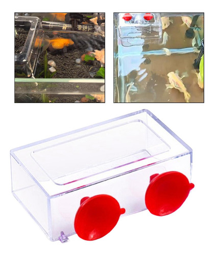 Anillo De Alimentación De Pescado Estación De Acuario De S