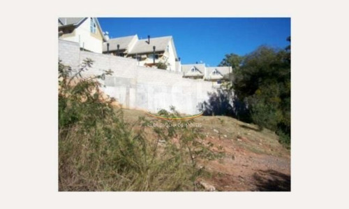 Terreno Em Teresópolis - Vi1060