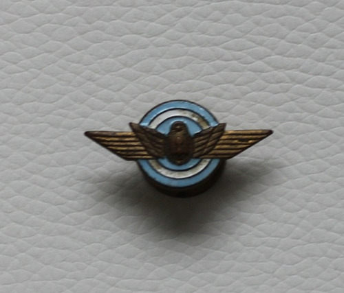 Pin Fuerza Aérea Argentina - Antiguo (Usado)