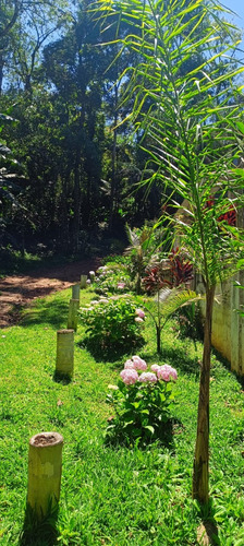 Linda Chácara Com Casa, Área De Lazer Com Piscina E Pomar Em Colheita