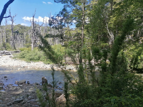 Lotes Terrenos Parcelas En Preventa Con Costa De Rio Paraje Rincón Ruta 231 Villa La Angostura