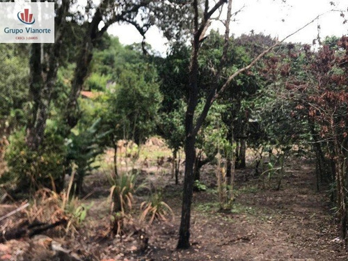 Imagem 16 de 16 de Chácara A Venda No Bairro Terra Preta Em Mairiporã - Sp. - P0430-1