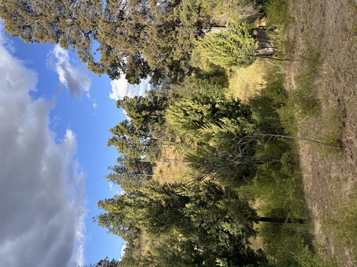 Terreno En Trevelin