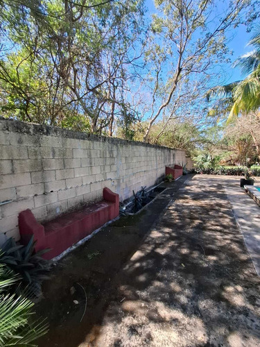 Venta Amplio Terreno De 6000 M2 Tahdzibichen, Merida, Yucatan.