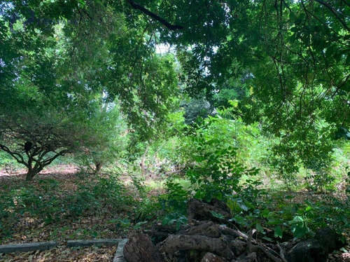 Terreno À Venda, 5200 M² Por R$ 1.700.000,00 - Lagoa Redonda - Fortaleza/ce - Te0475