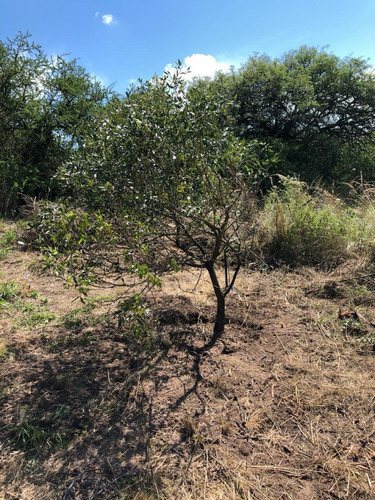 Venta Lote, Country Tierralta, A 4 Km De Villa Carlos Paz