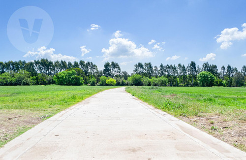 Lote Con Vista A Laguna En Venta - Barrio Cercana, Canning