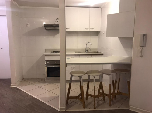 Arriendo Departamento 1d+1b Con Hermosa Vista