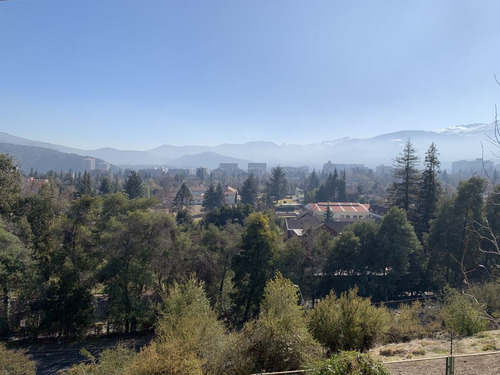 San Francisco De Asis - Las Condes