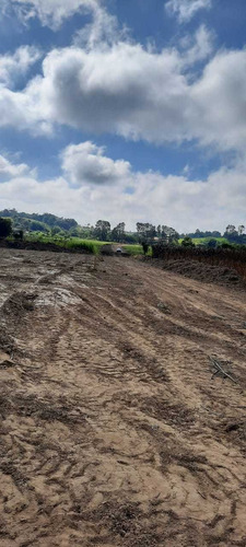 Imagem 11 de 14 de N20- Terrenos 1.000m2 Jacarei Esta Acabando Ainda Da Tempo