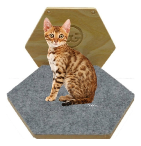 Rascador Gatos Hexagonal Amurar Colgante Cama Gimnasio Pared