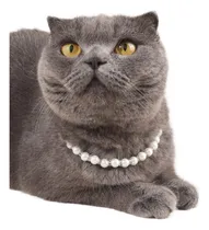 Comprar Collar Perro O Gato Perlas Color Perla Perla T L