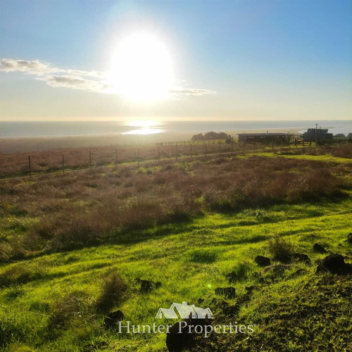 ¡¡parcela En Venta Curepto!! Playa Y Campo + Tiny House