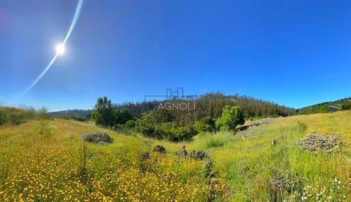 Imagen 20 de 20 de Sitio En Venta En Condominio, Puertecillo, Navidad