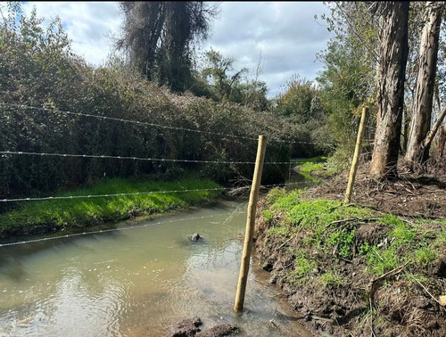 Inversión Ideal En Entorno Natural (134874)