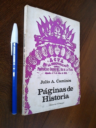 Páginas De Historia - Julio Caminos