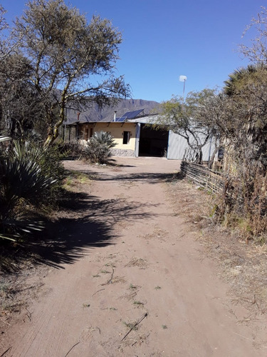 Imagen 4 de 17 de Chacra Rural Con Galpon