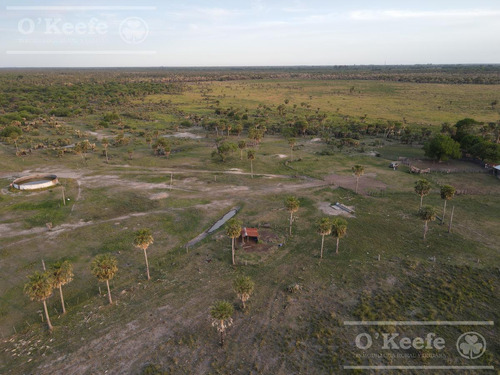 Campo En Venta 1217 Has En Villa Guillermina, Santa Fe.