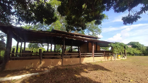 Imagen 4 de 12 de Finca Agropecuaria En Guanare, Portuguesa En Venta