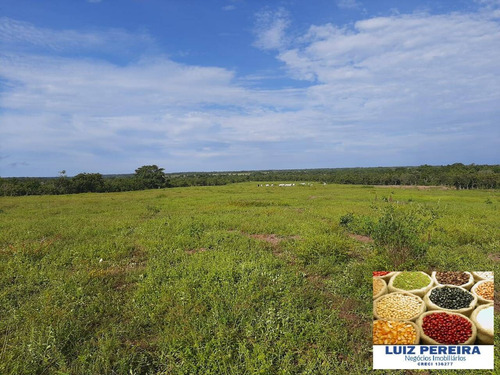 Imagem 6 de 15 de Fazenda À Venda No Vale Do Araguaia / Divinópolis - To - (dupla Aptidão) - 1705
