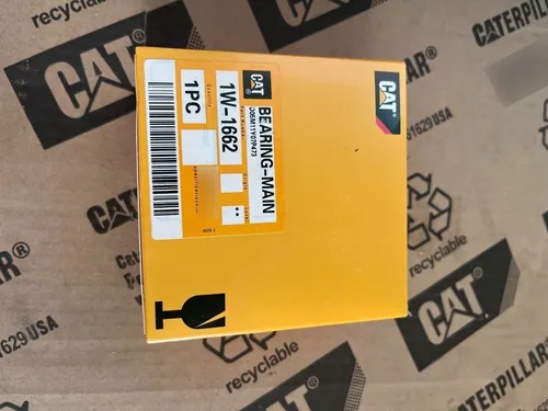 Concha De Biela Pair 1w1662