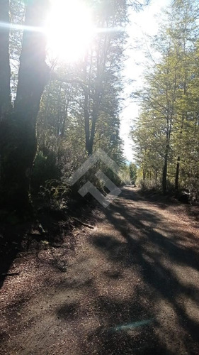 Sitio En Venta En Ensenada - Puerto Varas, Camino El Zorro