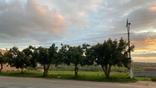 Terreno 10 Metros De Largura Por 25 Metros De Comprimento.