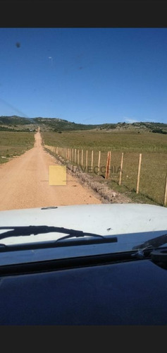 Imagen 19 de 20 de Venta De Campo De 80 Hectáreas Sobre Ruta 39
