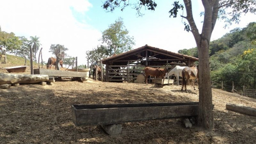 Linda Fazenda, Localizada Em Baldim Com 60,92 Hectares - 933