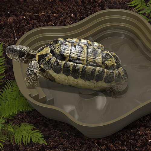 Piscina De Baño De De Agua De Tortuga De Rampa Para Verde L