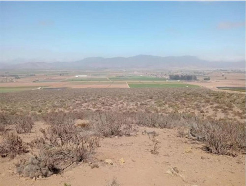 Terreno Agricola Ganadero 1.368 Has, Pan De Azúcar, Coquimbo