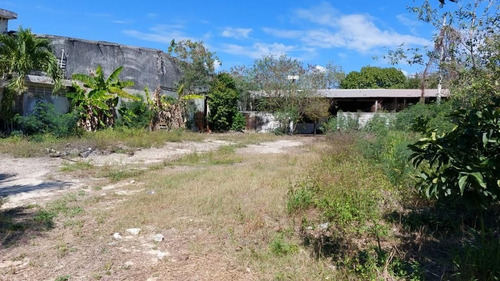 Bodega En Renta En Conkal
