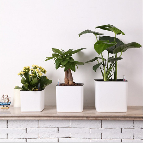 Imagen 5 de 12 de 2 Maceteros Decorativos De Plástico Para Regadera Con