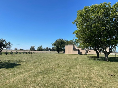 Imagen 4 de 16 de Campo En Venta De 294000m2 Ubicado En Balcarce