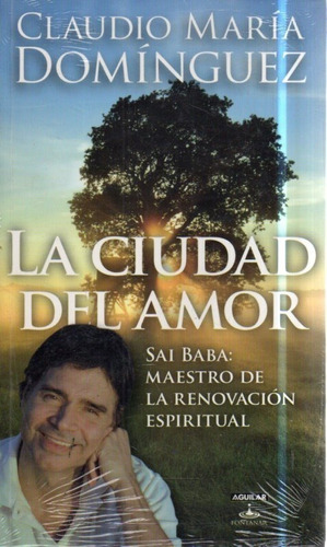 La Ciudad Del Amor Claudio Maria Dominguez 