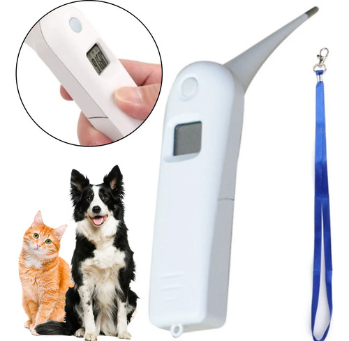 Termómetro Digital Veterinario Perro Gato Checkatek Tdv01