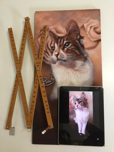 Set Dibujo Artistico Pantografo Copiador De Dibujo A Escala
