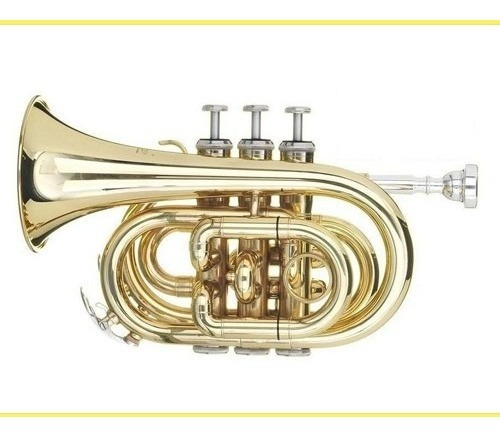 Trompeta Pocket Benson Bb- Incluye Estuche Ft6500 O Similar