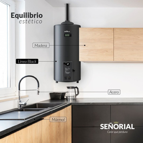 Imagen 4 de 7 de Termotanque Eléctrico Señorial Black TSBE-60 negro 60 L