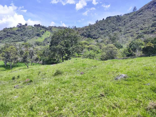 Lote En Copacabana Vereda El Zarzal
