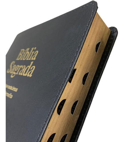 Bíblia Sagrada: Letra Extragigante Com Indice Capa Luxo, De João Ferreira De Almeida. Na Editorial Geografica, Capa Mole, Edição Na Em Português