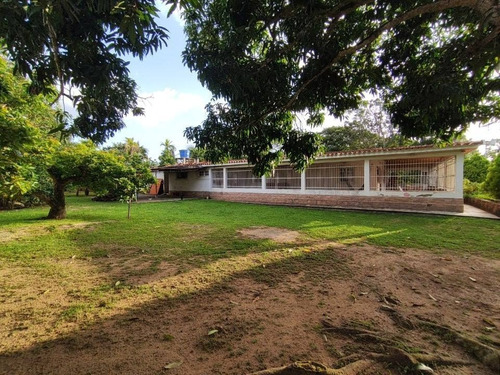 Imagen 21 de 25 de Espectacular Finca En Bejuma Alto De Reyes Carabobo Jc-lp