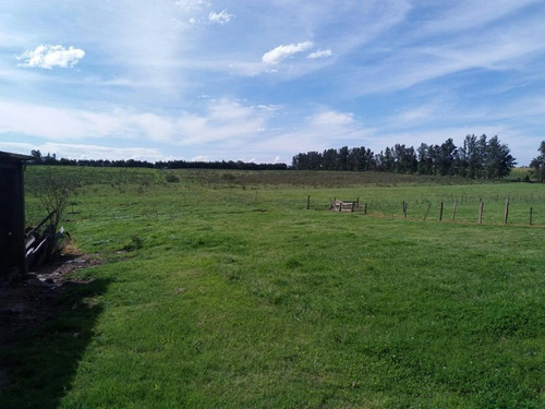 Campo 3 Hectareas A Poco Ruta 36 Hermosa Zona