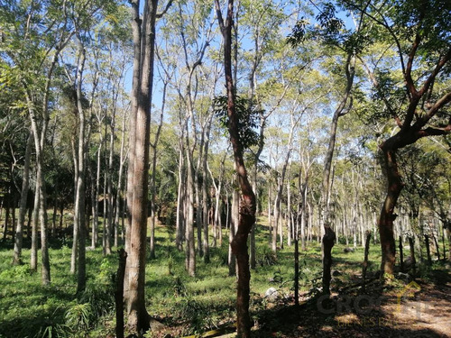 Se Vende Terreno En La Concepción Veracruz