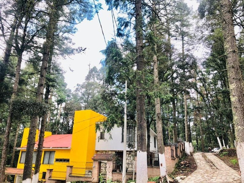 Imagen 5 de 12 de Terreno En Venta Crea Tu Propia Cabaña Adquiere Tu Terreno En Pleno Bosque En Facilidades Sin Int